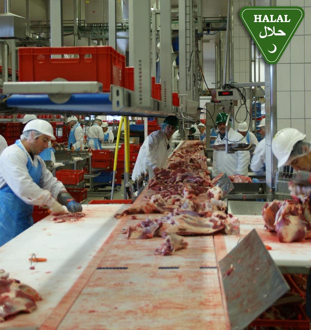 Kesimhane Helal Belgesi